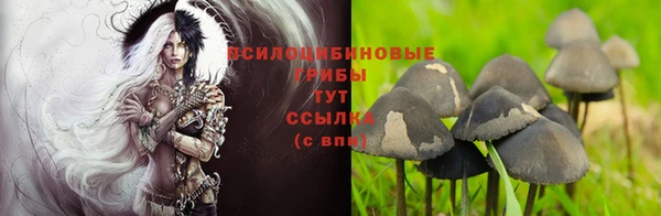 скорость Алзамай