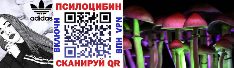 Псилоцибиновые грибы Magic Shrooms Вихоревка